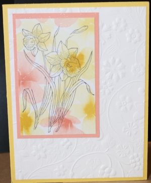 378 Blank - Daffodils