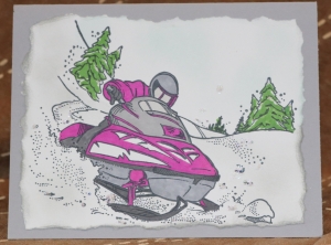 223 Recreational Cards - Snowmobile