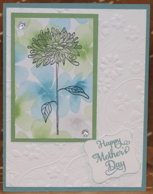 245 Mother's Day -  Chrysanthemum