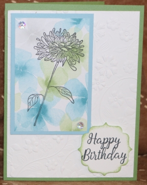 442 Female Birthday - Chrysanthemum
