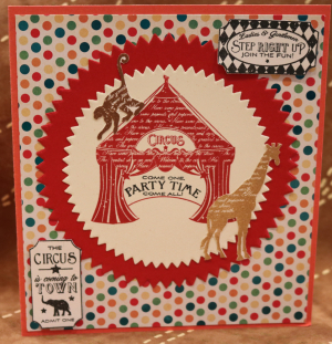 786 Girls Birthday - Circus
