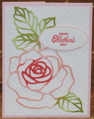 143 Mother's Day - Rose Wonder