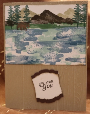553 For You - Bear by the Lake