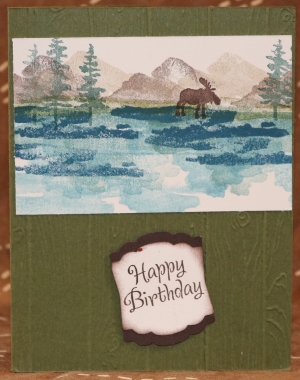 305 Male Birthday - Moose by Lake
