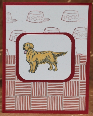 041 Animal  - Golden Retriever