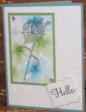 574 Hello - Chrysanthemum