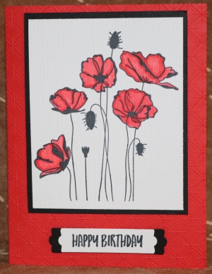 494 Female Birthday - Poppy