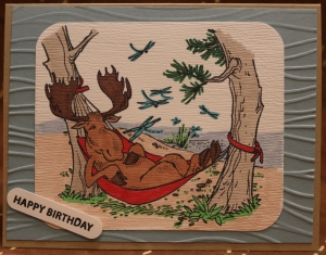 224 Male Birthday - Moose in Hammock