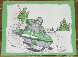 217 Recreational Cards - Snowmobile