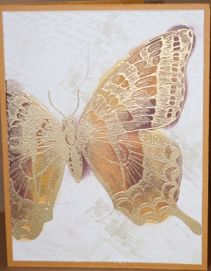 403 Blank - Gorgeous Butterfly