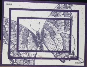 279 Thinking of You - Swallowtail