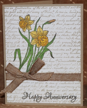 489 Anniversary - Daffodils