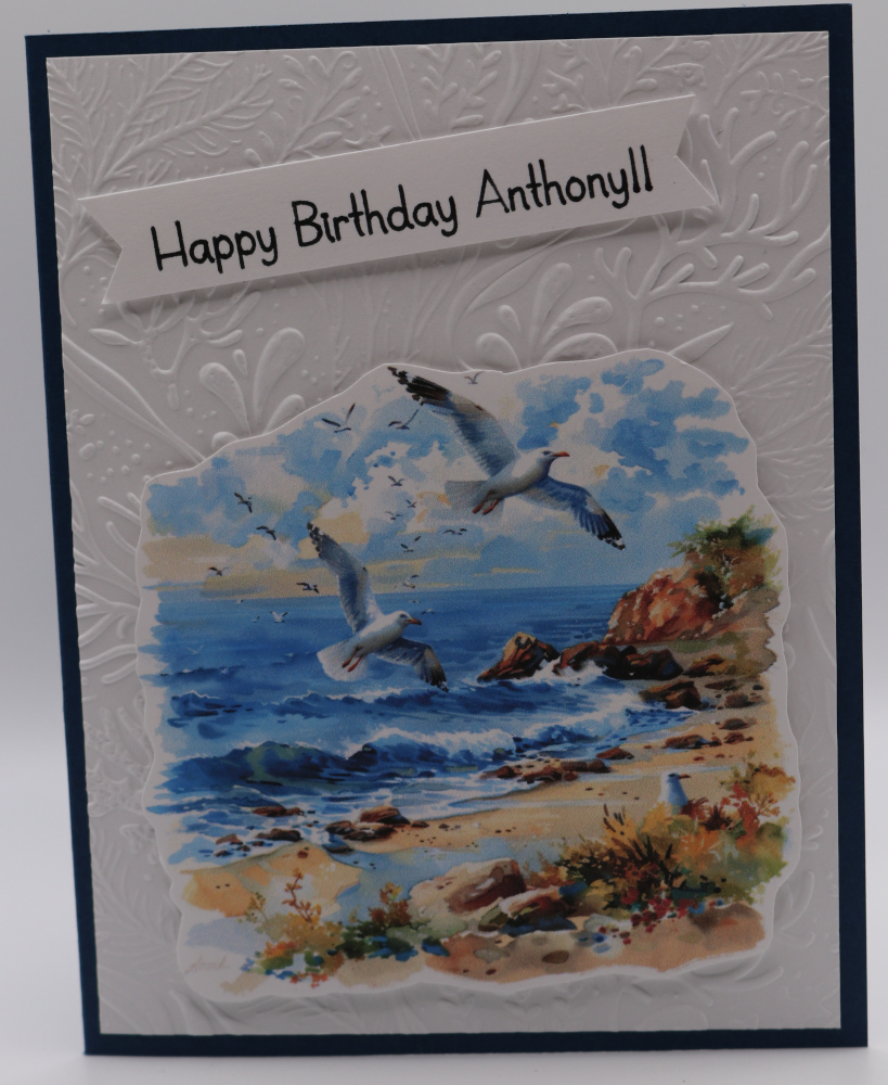 1100a Custom - Beach with Seagulls